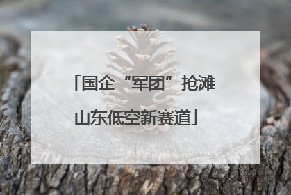 国企“军团”抢滩山东低空新赛道