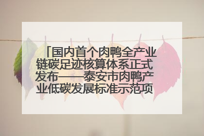 国内首个肉鸭全产业链碳足迹核算体系正式发布——泰安市肉鸭产业低碳发展标准示范项目顺利通过验收