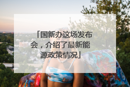 国新办这场发布会，介绍了最新能源政策情况