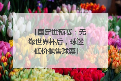 国足世预赛：无缘世界杯后，球迷低价抛售球票