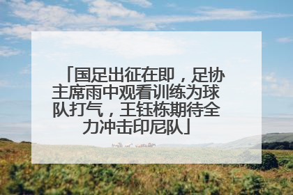 国足出征在即，足协主席雨中观看训练为球队打气，王钰栋期待全力冲击印尼队