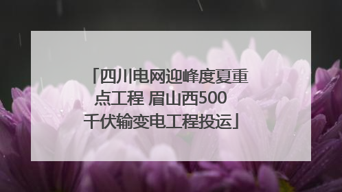 四川电网迎峰度夏重点工程 眉山西500千伏输变电工程投运