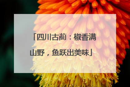 四川古蔺：椒香满山野，鱼跃出美味