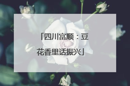 四川富顺：豆花香里话振兴