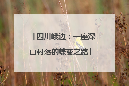 四川峨边：一座深山村落的蝶变之路