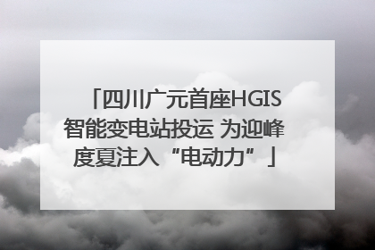四川广元首座HGIS智能变电站投运 为迎峰度夏注入“电动力”