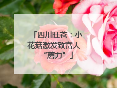 四川旺苍：小花菇激发致富大“蘑力”