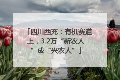 四川西充：有机赛道上，3.2万“新农人”成“兴农人”