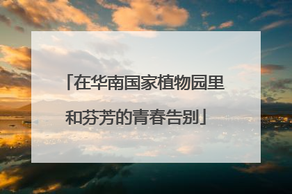 在华南国家植物园里和芬芳的青春告别