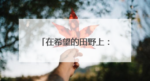 在希望的田野上：三夏时节丰收忙