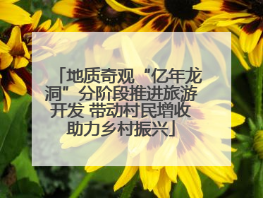 地质奇观“亿年龙洞”分阶段推进旅游开发 带动村民增收助力乡村振兴