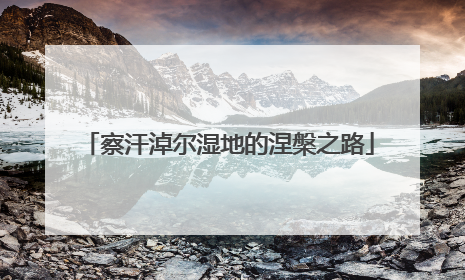 察汗淖尔湿地的涅槃之路