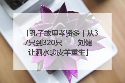 孔子故里孝贤多｜从37只到320只——刘健让泗水裘皮羊重生
