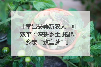 孝昌最美新农人丨叶双平：深耕乡土 托起乡亲“致富梦”