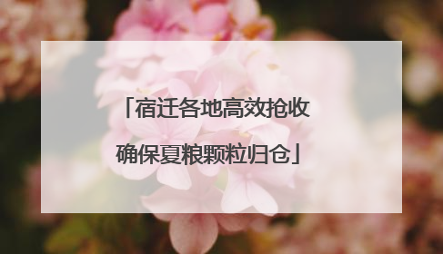 宿迁各地高效抢收 确保夏粮颗粒归仓