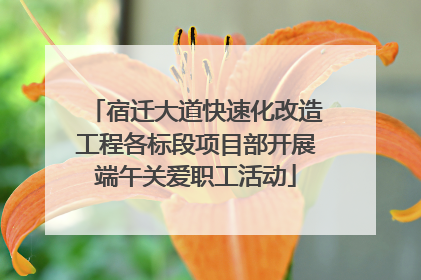 宿迁大道快速化改造工程各标段项目部开展端午关爱职工活动