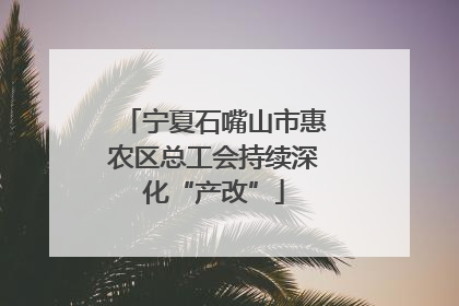 宁夏石嘴山市惠农区总工会持续深化“产改”
