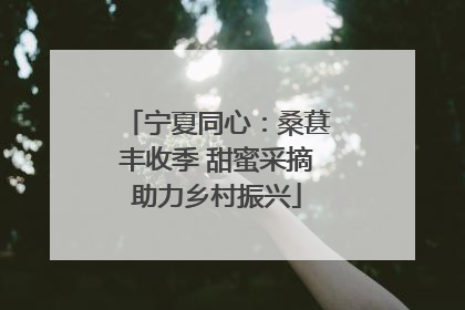 宁夏同心：桑葚丰收季 甜蜜采摘助力乡村振兴
