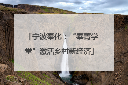 宁波奉化：“奉菁学堂”激活乡村新经济