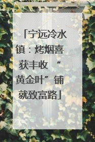 宁远冷水镇：烤烟喜获丰收 “黄金叶”铺就致富路