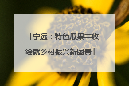宁远：特色瓜果丰收绘就乡村振兴新图景