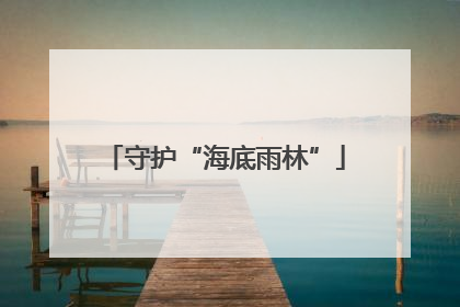 守护“海底雨林”