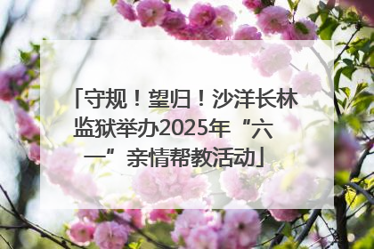 守规！望归！沙洋长林监狱举办2025年“六一”亲情帮教活动