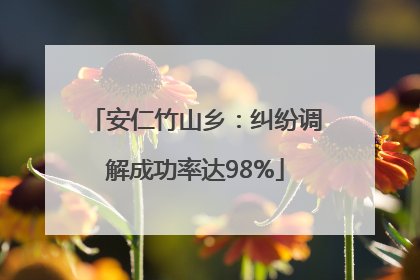 安仁竹山乡：纠纷调解成功率达98%