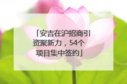 安吉在沪招商引资聚新力，54个项目集中签约