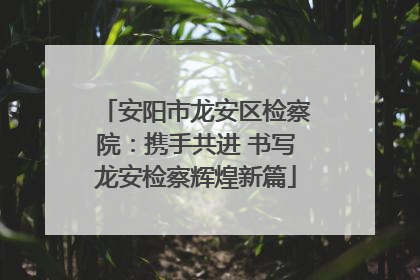 安阳市龙安区检察院：携手共进 书写龙安检察辉煌新篇