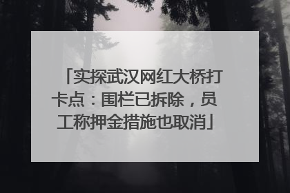 实探武汉网红大桥打卡点：围栏已拆除，员工称押金措施也取消