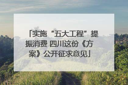 实施“五大工程”提振消费 四川这份《方案》公开征求意见