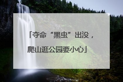夺命“黑虫”出没，爬山逛公园要小心