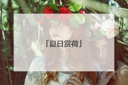 夏日赏荷