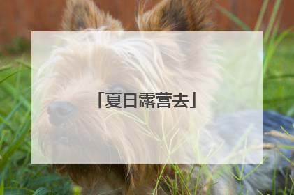 夏日露营去