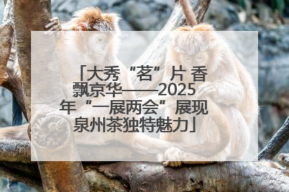 大秀“茗”片 香飘京华——2025年“一展两会”展现泉州茶独特魅力