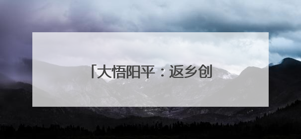 大悟阳平：返乡创办合作社，种出乡村振兴“金稻子”