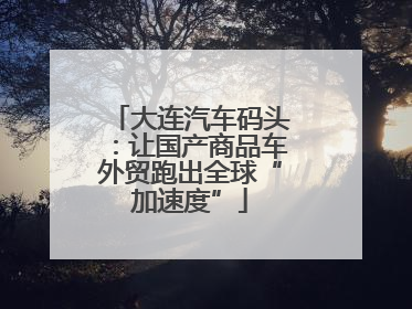 大连汽车码头：让国产商品车外贸跑出全球“加速度”