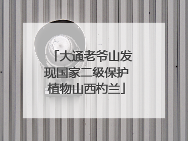 大通老爷山发现国家二级保护植物山西杓兰