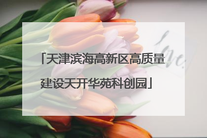 天津滨海高新区高质量建设天开华苑科创园