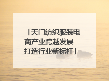 天门纺织服装电商产业跨越发展 打造行业新标杆