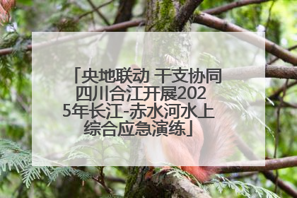 央地联动 干支协同 四川合江开展2025年长江-赤水河水上综合应急演练