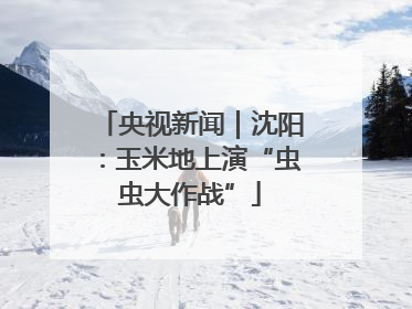 央视新闻｜沈阳：玉米地上演“虫虫大作战”