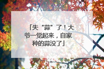 失“蒜”了！大爷一觉起来，自家种的蒜没了