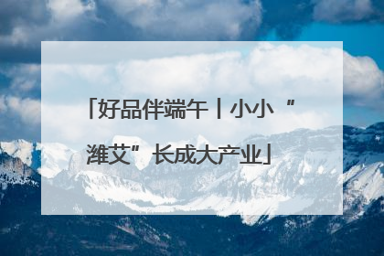 好品伴端午丨小小“潍艾”长成大产业