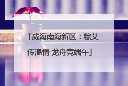 威海南海新区：粽艾传温情 龙舟竞端午
