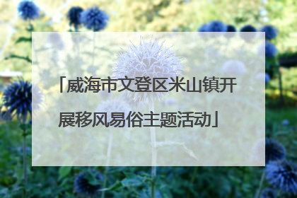 威海市文登区米山镇开展移风易俗主题活动