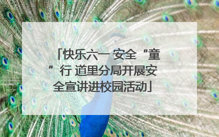 快乐六一 安全“童”行 道里分局开展安全宣讲进校园活动