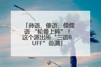 彝语、傣语、傈僳语 “轮番上阵”！这个派出所“三语BUFF”叠满