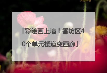彩绘画上墙！香坊区40个单元楼道变画廊